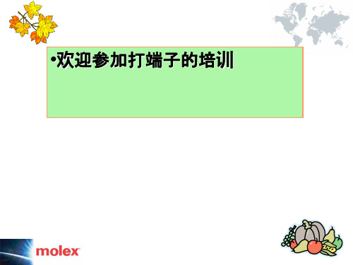 MOLEX打端子培训教材(PPT 62页)