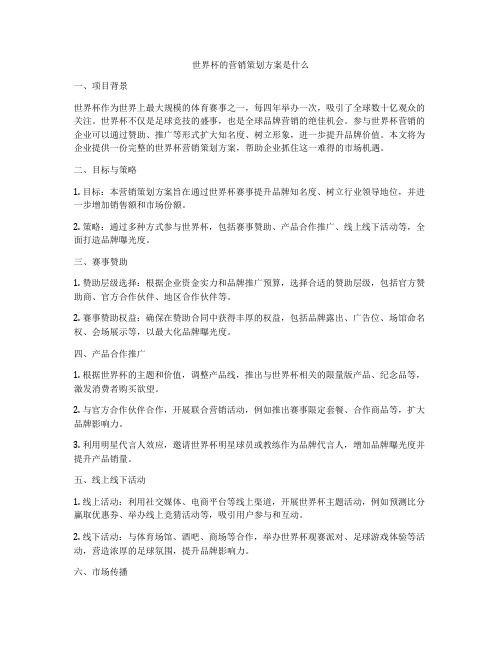 世界杯的营销策划方案是什么