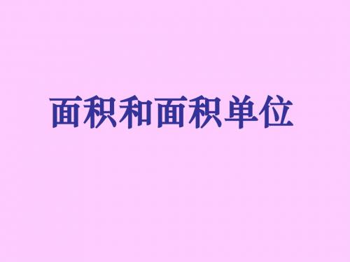 面积与面积单位