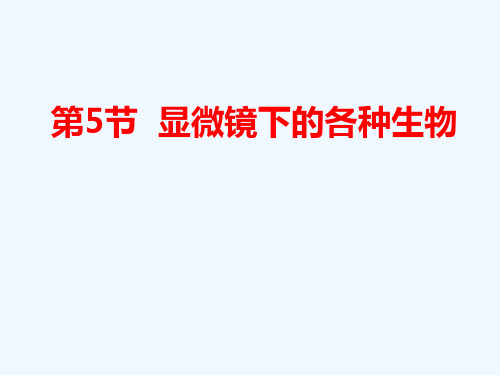 七年级科学上册显微镜下的各种生物课件浙教版