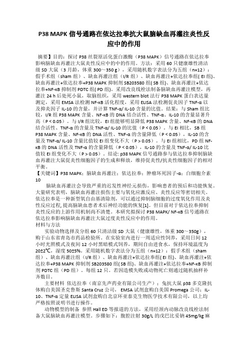 P38 MAPK信号通路在依达拉奉抗大鼠脑缺血再灌注炎性反应中的作用