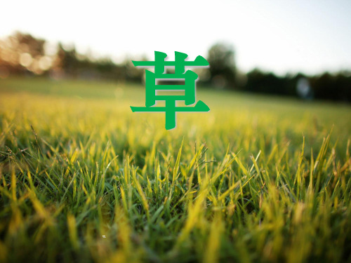 人教版二年级语文下册《古诗二首之草》-课件PPT