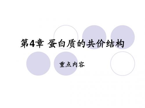 北京师范大学生物化学课件 第4章重点
