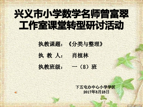 《分类与整理》PPT课件人教新课标2