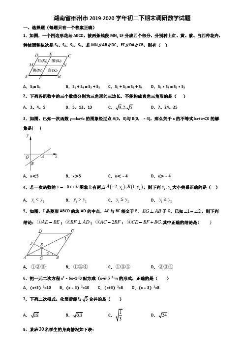 湖南省郴州市2019-2020学年初二下期末调研数学试题含解析