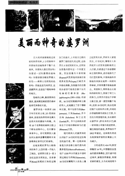 美丽而神奇的婆罗洲