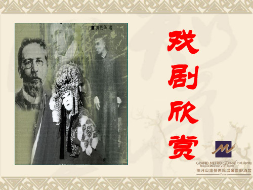 戏剧欣赏常识PPT课件