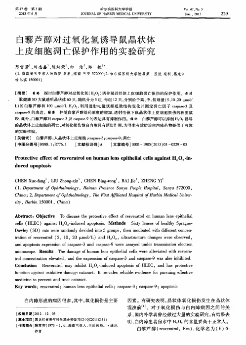 白藜芦醇对过氧化氢诱导鼠晶状体上皮细胞凋亡保护作用的实验研究