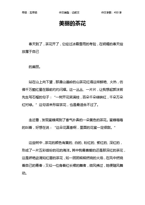 美丽的茶花作文【小学五年级500字】