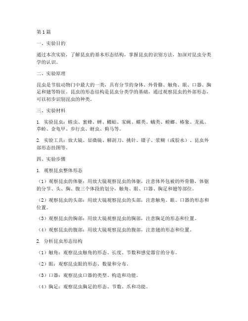 昆虫的形态实验报告(3篇)