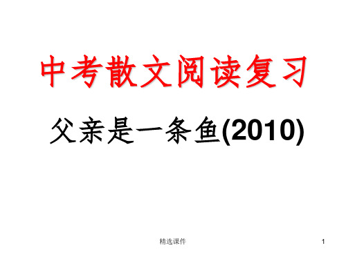 散文阅读父亲是一条鱼