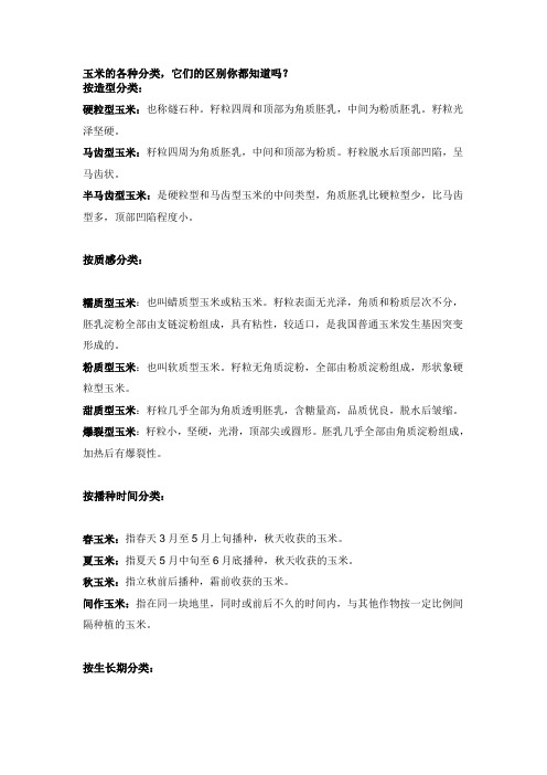 玉米的各种分类,它们的区别你都知道吗？