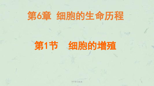 植物细胞的有丝分裂课件