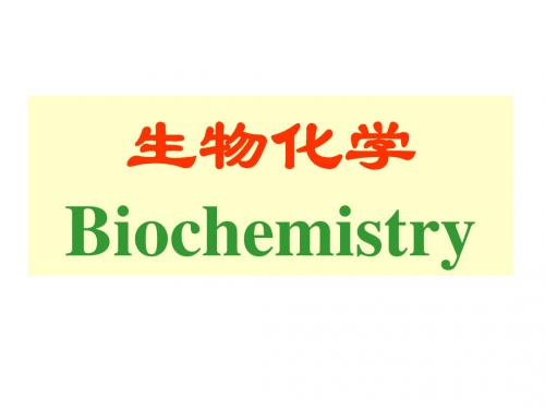 生物化学第三前半-PPT文档资料