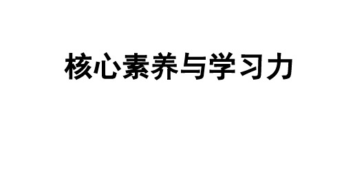 核心素养与学习力