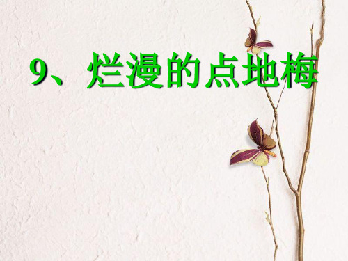 六年级语文上册 第9课 烂漫的点地梅课件2 西师大版.pptx