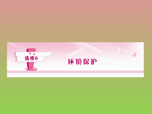 【人教版】2012届《金版新学案》地理高考一轮复习课件选修6第一章环境与环境问题
