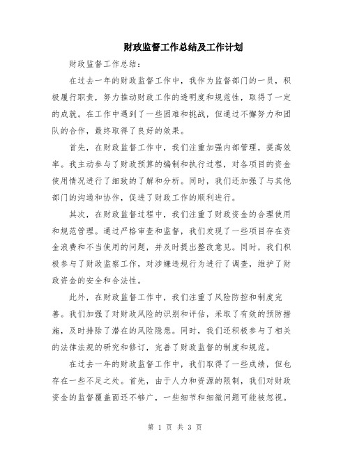 财政监督工作总结及工作计划