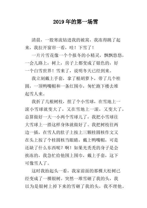 2019年的第一场雪