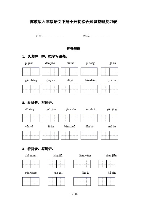 苏教版六年级语文下册小升初综合知识整理复习表