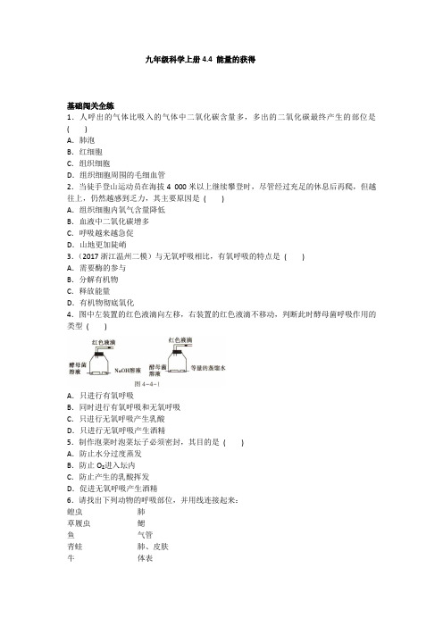 2020浙教版-科学九年级上册4.4 能量的获得