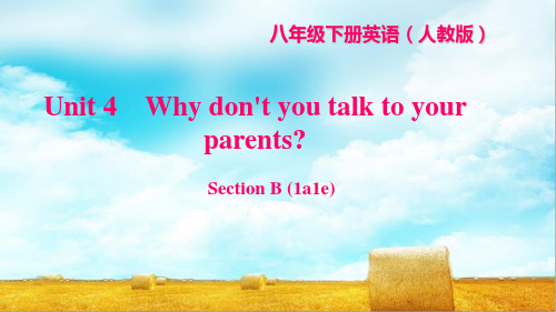 人教版八年级英语下册Unit4Whydon'tyoutalktoyourparentsSectionB(1a_1e)习题课件