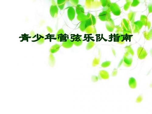 《青少年管弦乐队指南》PPT课件3(1)