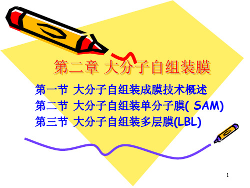 第二章 大分子自组装膜