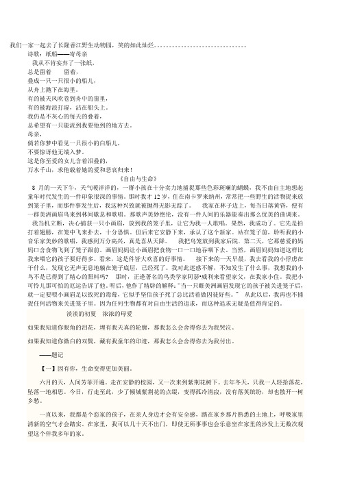 母亲(彩色)