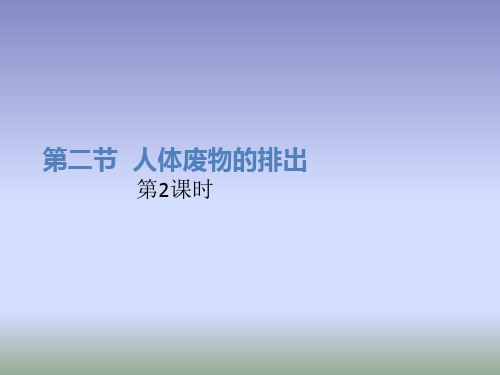 苏教版生物七年级下册11.2《人体废物的排出》(第2课时)课件 (共19张PPT)