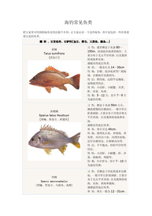 海钓常见鱼类
