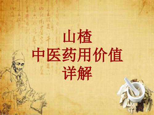 中药学_山楂_药材详解课件模板