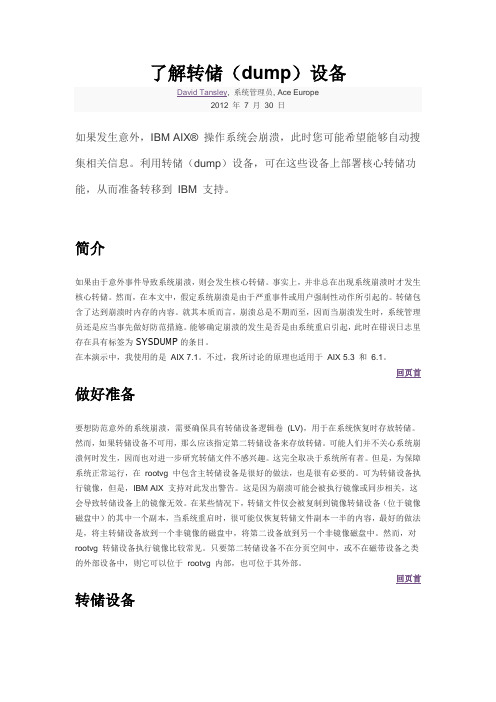 了解转储(dump)设备