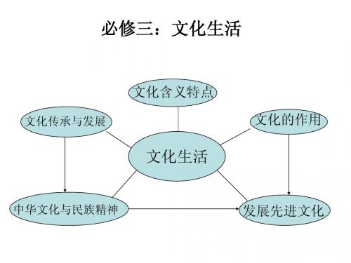 专题十：文化与生
