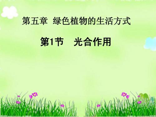 生物七年级上册5章1节光和作用一课时课件北师大版