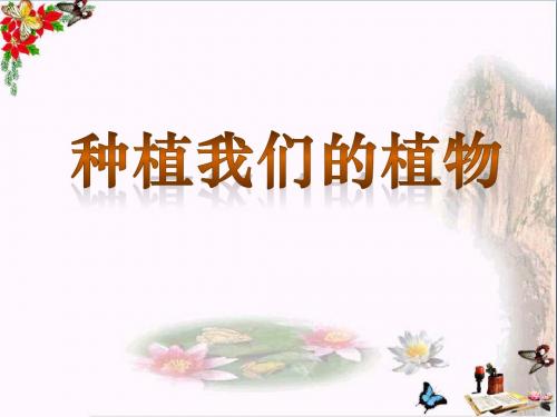 《种植我们的植物》植物的生长变化PPT优秀课件2
