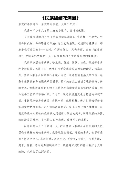 民族团结花满园   演讲稿