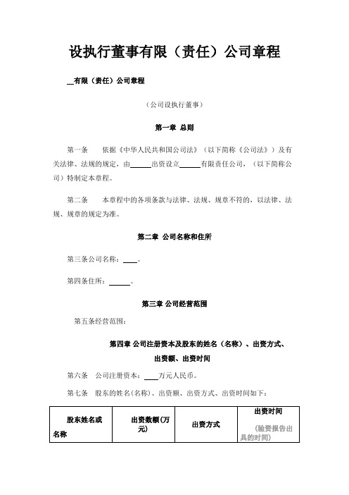 设执行董事有限(责任)公司章程