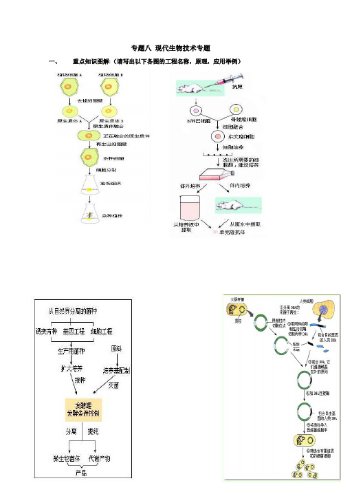 2011届高考生物第二轮复习讲练试题