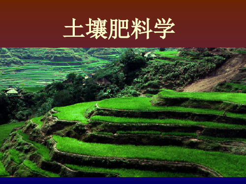 绪论课件土壤肥料学