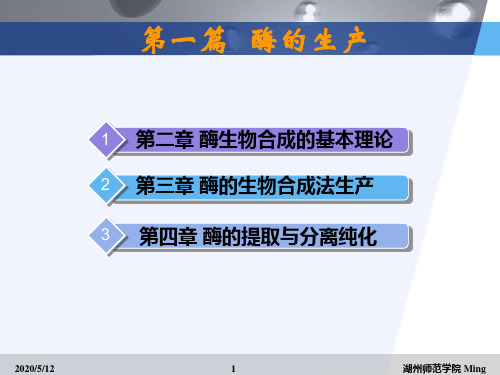 酶生物合成的基本理论