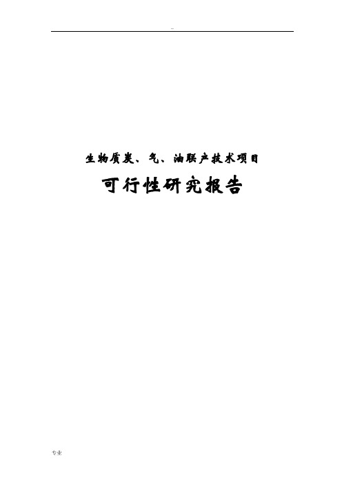 生物质炭、气、油联产技术项目可行性研究报告