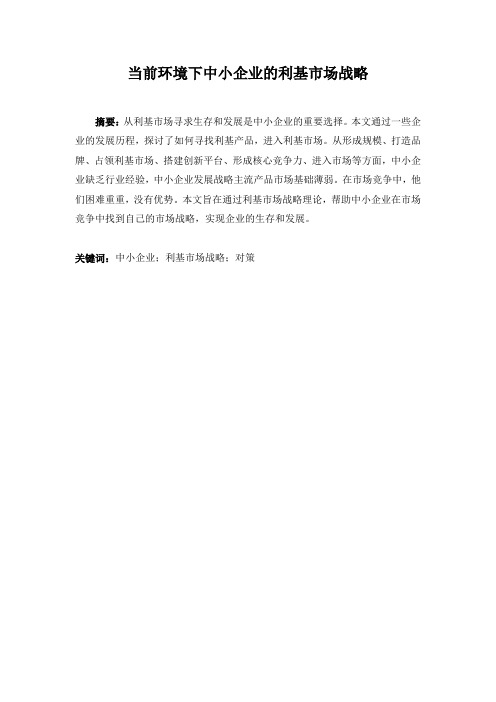 当前环境下中小企业的利基市场战略
