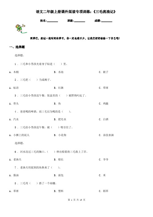 语文二年级上册课外阅读专项训练：《三毛流浪记》