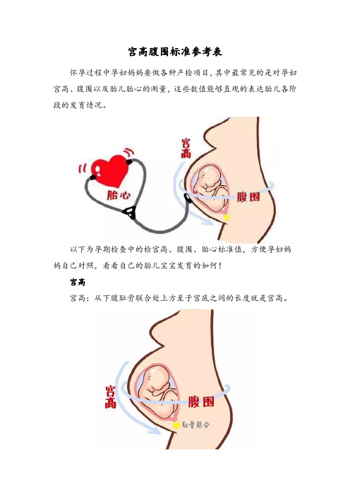宫高腹围标准参考表
