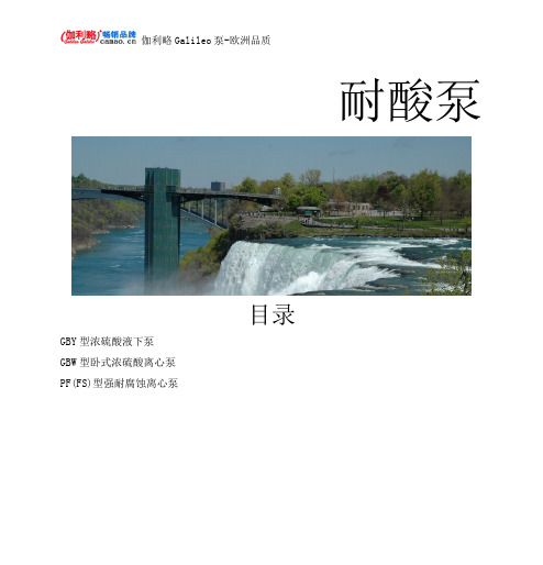 耐酸泵