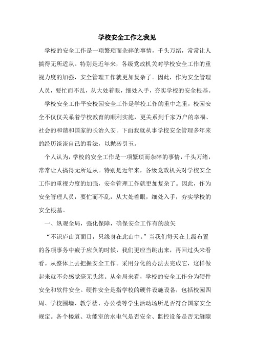 学校安全工作之我见[论文]