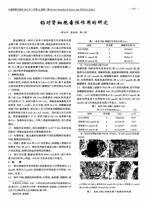 铅对肾细胞毒性作用的研究