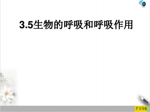 3.5生物的呼吸和呼吸作用2021学年浙教版八年级科学下册课件