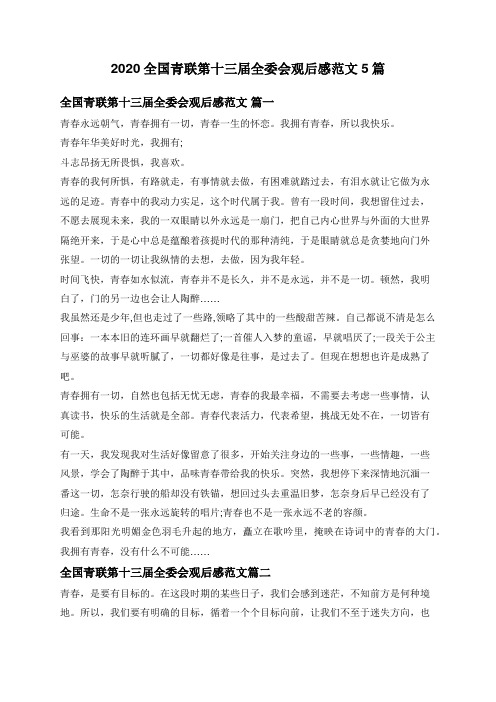 2020全国青联第十三届全委会观后感范文5篇